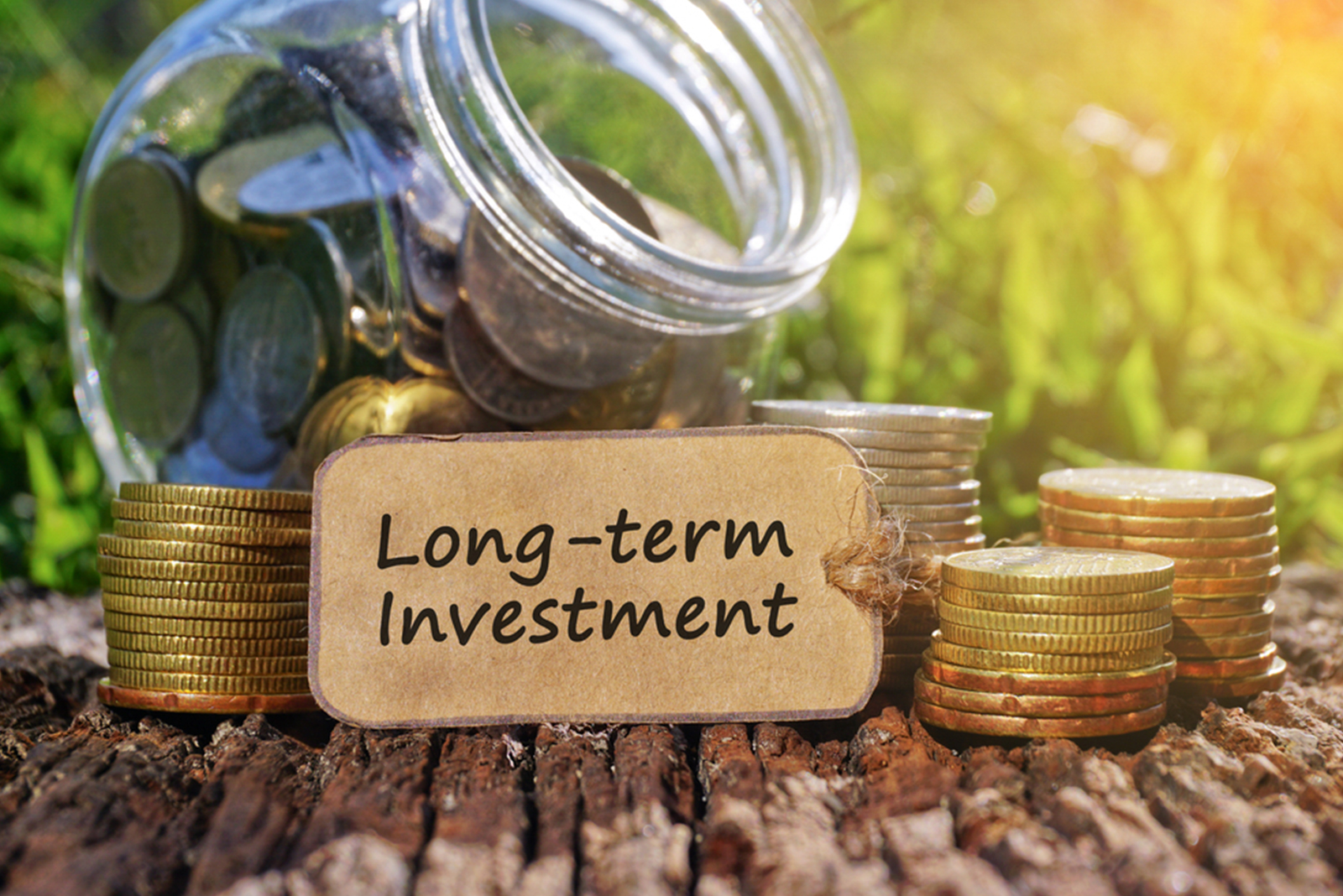 Investment & Wealth Growth: Building Long-Term Financial Success